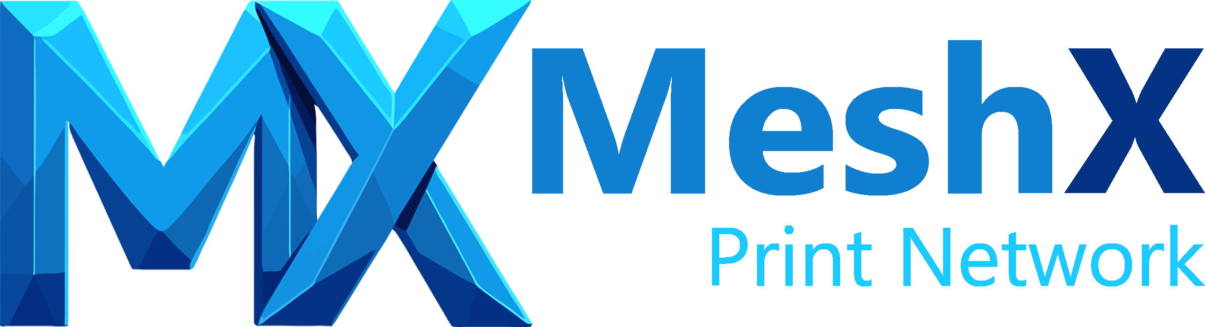 MeshX Print Network